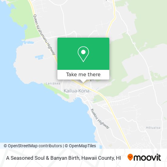 A Seasoned Soul & Banyan Birth map