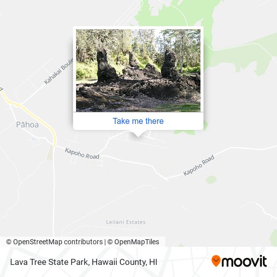 Lava Tree State Park map