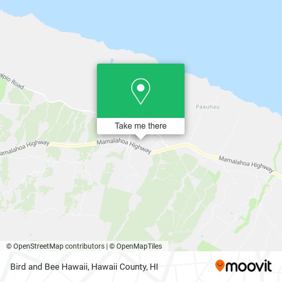 Bird and Bee Hawaii map
