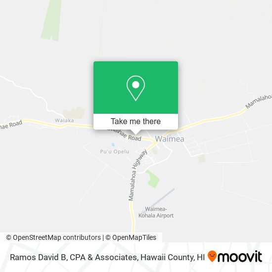 Ramos David B, CPA & Associates map