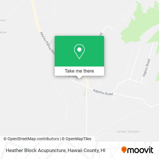 Heather Block Acupuncture map
