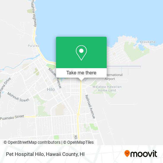 Pet Hospital Hilo map