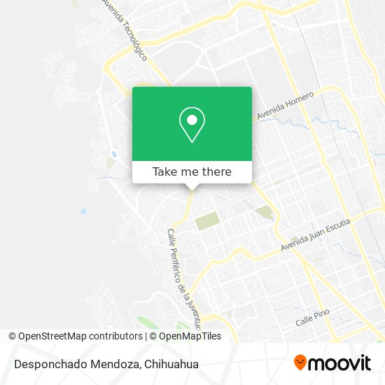 Mapa de Desponchado Mendoza