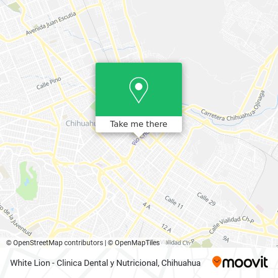 White Lion - Clinica Dental y Nutricional map