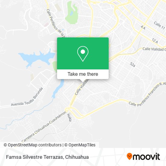 Famsa Silvestre Terrazas map