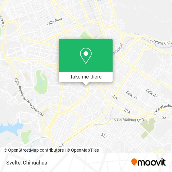 Svelte map