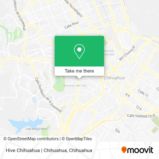 Hive Chihuahua | Chihuahua map