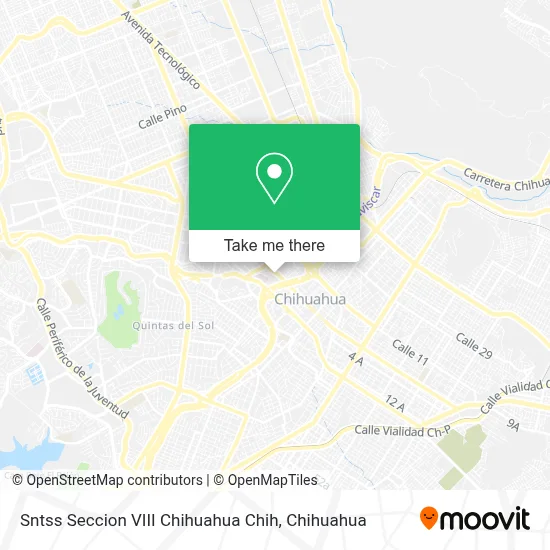 Sntss Seccion VIII Chihuahua Chih map