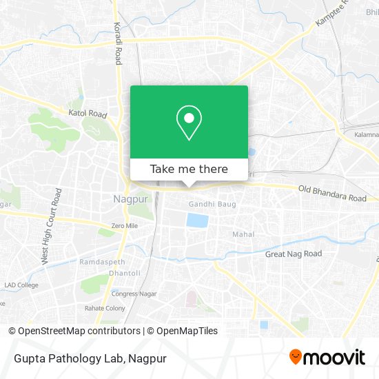 Gupta Pathology Lab map