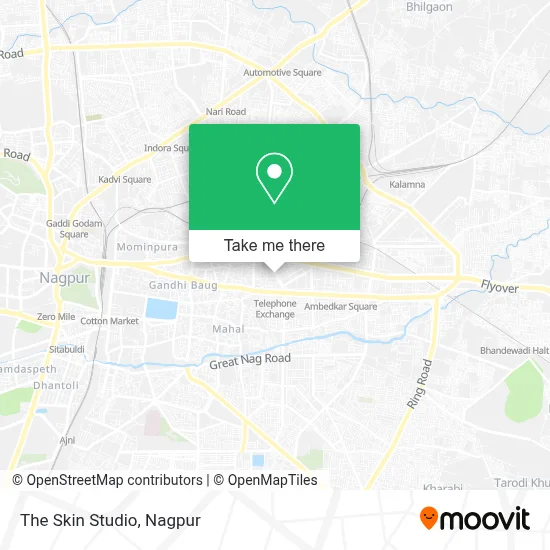 The Skin Studio map