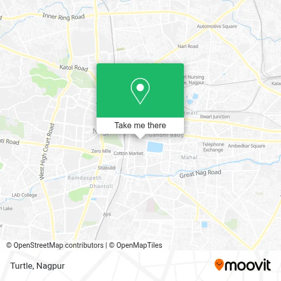 Turtle map