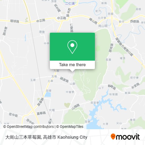 大崗山三本草莓園 map