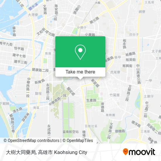 大樹大同藥局 map