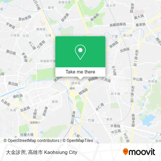 大金診所 map