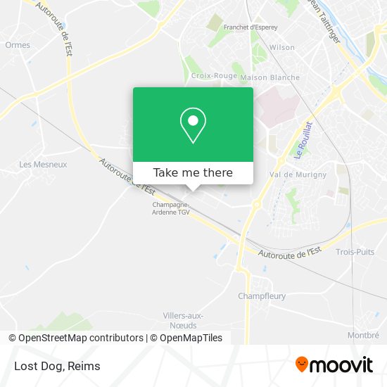 Lost Dog map