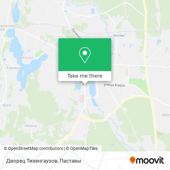 Дворец Тизенгаузов map