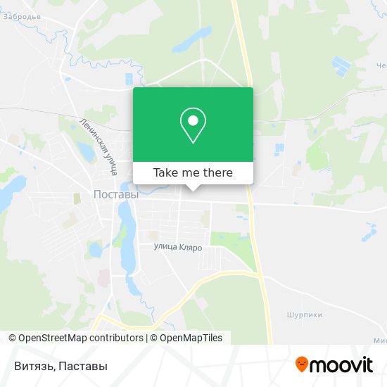 Витязь map
