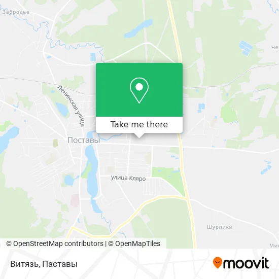 Витязь map