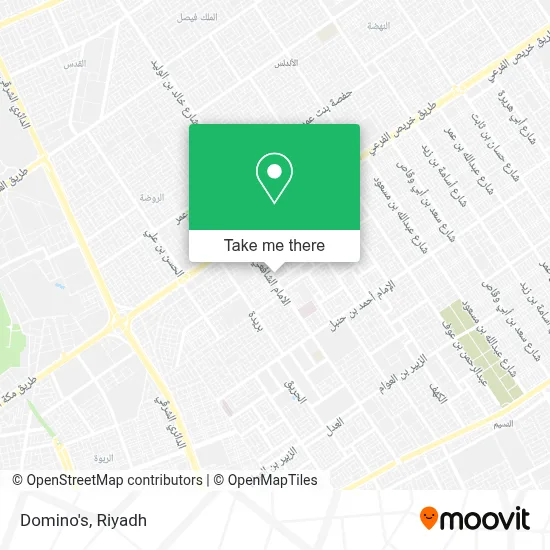 Domino's map