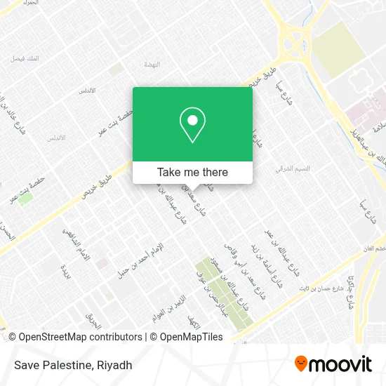 Save Palestine map