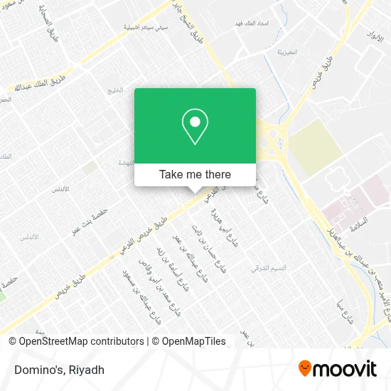 Domino's map