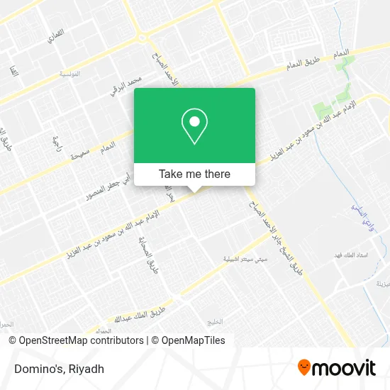 Domino's map