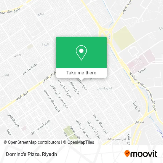 Domino's Pizza map