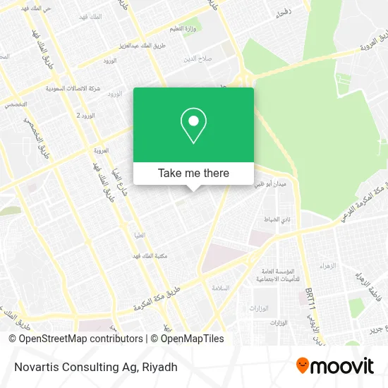 Novartis Consulting Ag map
