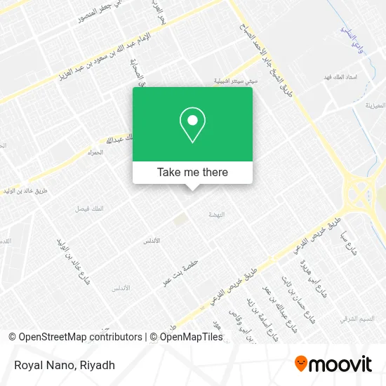Royal Nano map