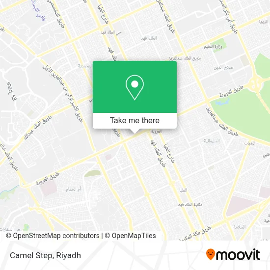Camel Step map