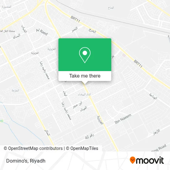 Domino's map