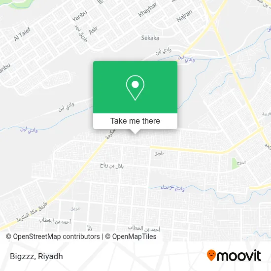 Bigzzz map
