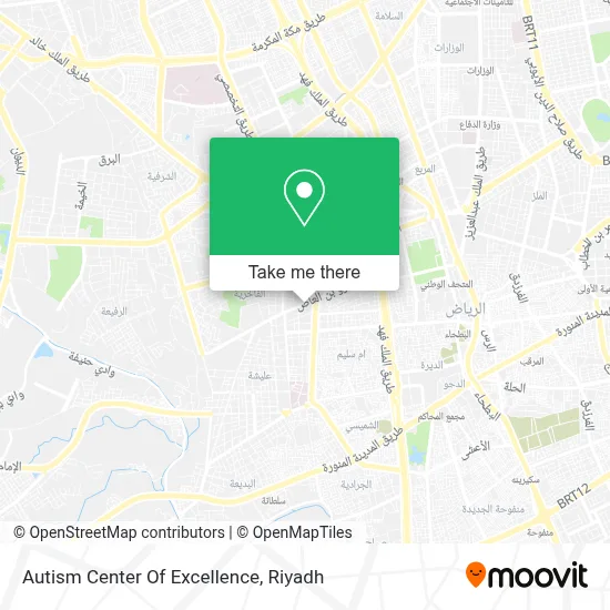 Autism Center Of Excellence map