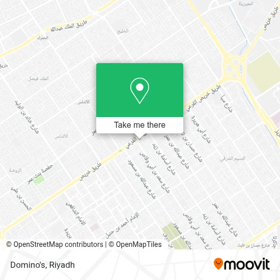 Domino's map