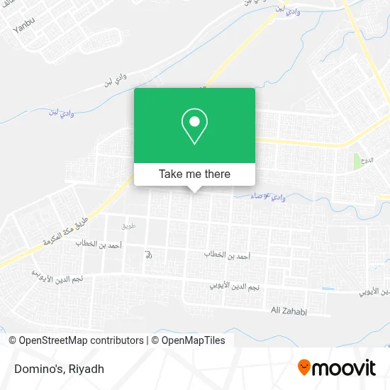Domino's map