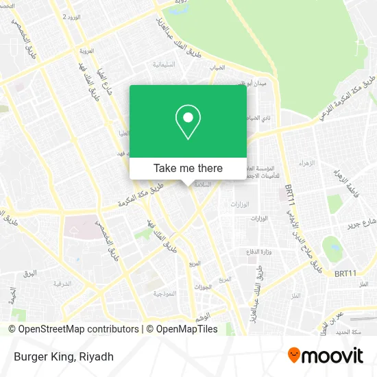 Burger King map