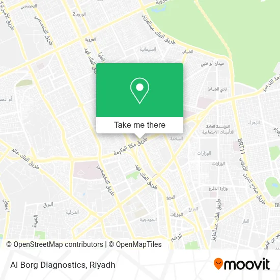 Al Borg Diagnostics map