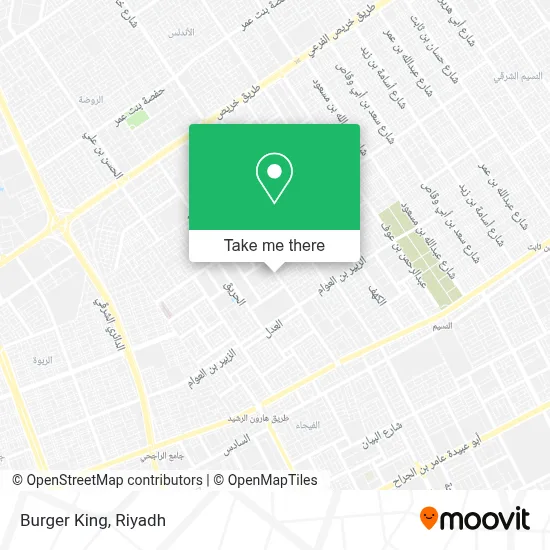 Burger King map