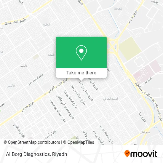 Al Borg Diagnostics map