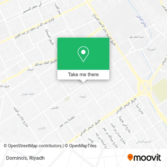 Domino's map