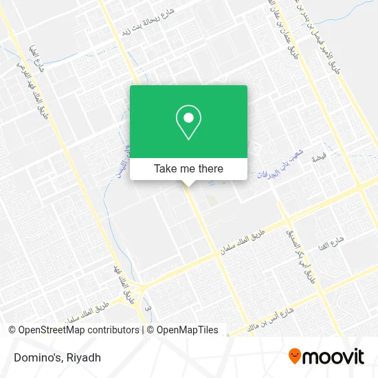 Domino's map