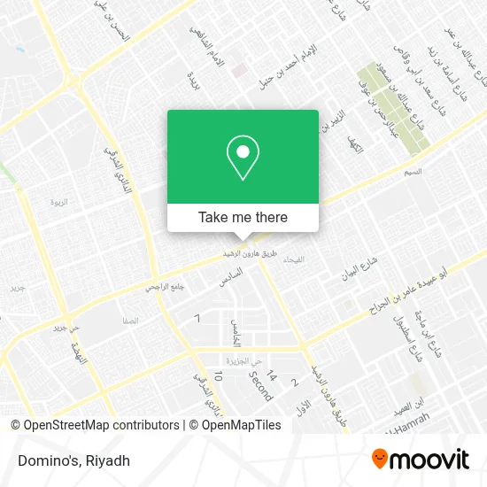 Domino's map