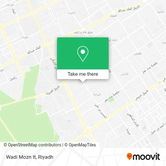Wadi Mozn It map
