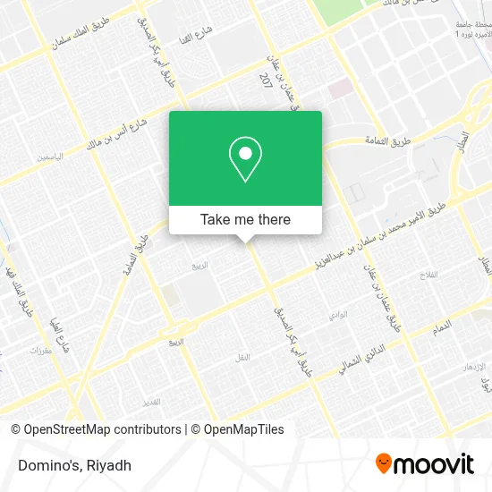 Domino's map