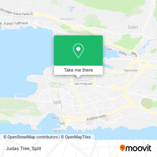 Judas Tree map
