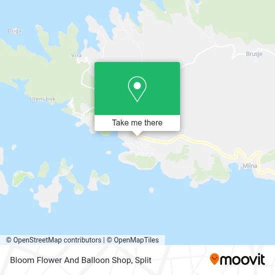 Bloom Flower And Balloon Shop map