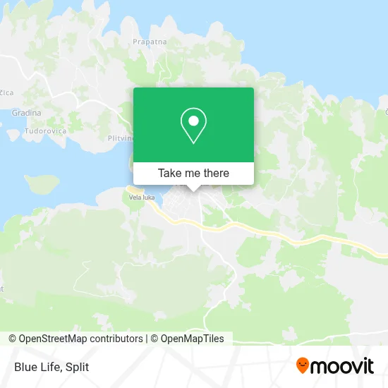 Blue Life map