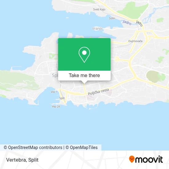 Vertebra map