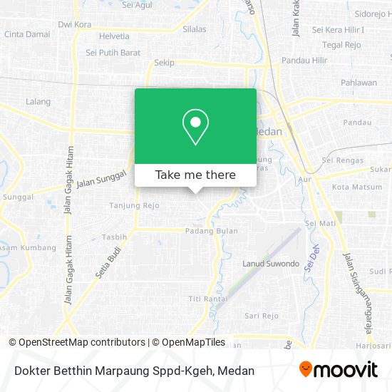 Dokter Betthin Marpaung Sppd-Kgeh map