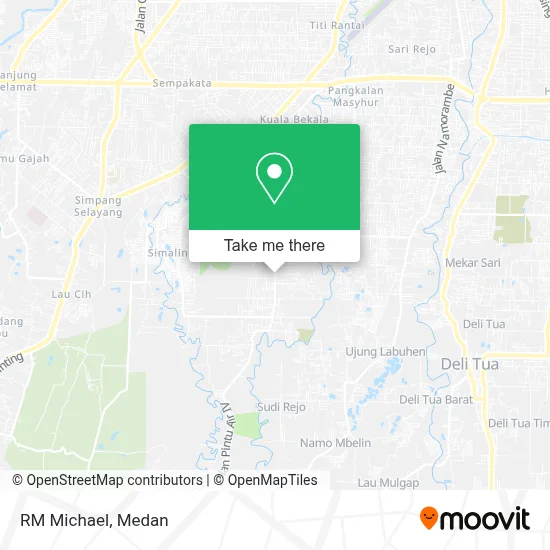 RM Michael map